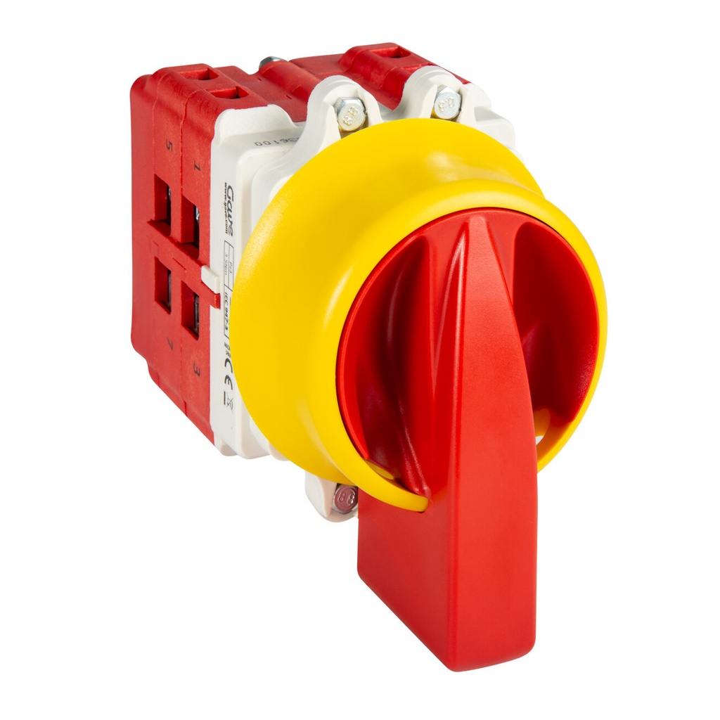 INTERRUPTOR 4P 125A.D2 MANDO BLOQUEO CANDADO IP69K