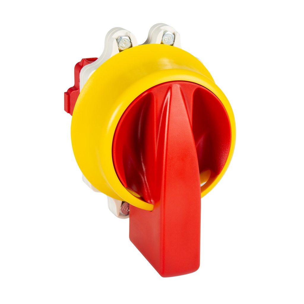 INTERRUPTOR 2P GAVE 40A.D1 MANDO BLOQUEO CANDADO IP69K